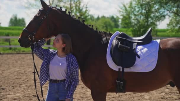 Menina posando com seu cavalo da baía - atordoando seu garanhão - amor por cavalos — Vídeo de Stock