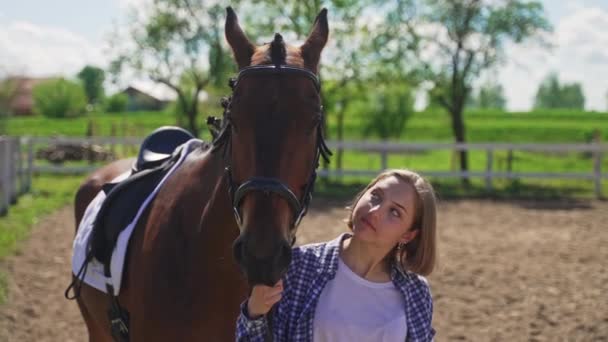 Dziewczyna stojąca z jej ciemnej zatoce koń trzyma jego ołowianą linę - miłość do koni — Wideo stockowe