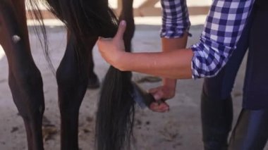 Kadın hademe At Kuyruğu Fırçalama, Bakım ve Atlara Bakım