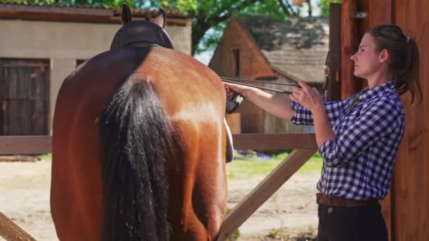 Кінна жінка готує коня на поїздку - В'язання сідла - вид ззаду — стокове відео