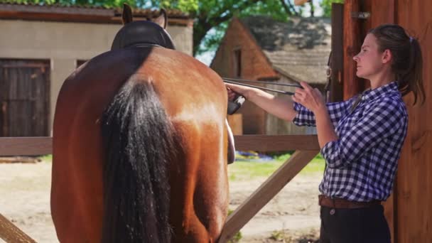 Mujer caballo preparando su caballo para un paseo - Atando la silla de montar - Vista trasera — Vídeos de Stock