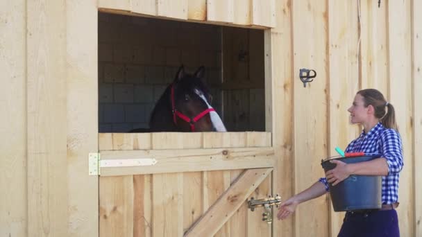 Девушка, держащая ведро с кормом для лошадей, открывает дверь конюшни, чтобы покормить свою лошадь — стоковое видео