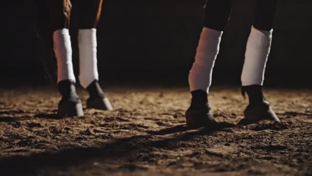 Venda patas de caballo en el suelo de arena durante la noche - ángulo bajo — Vídeo de stock