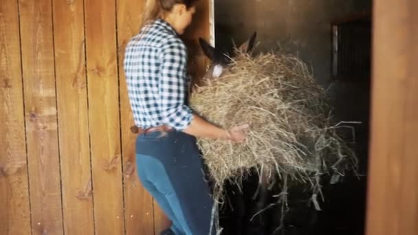 Flicka sätter färska häckar i häststallet - en brun häst som står i stallet — Stockvideo