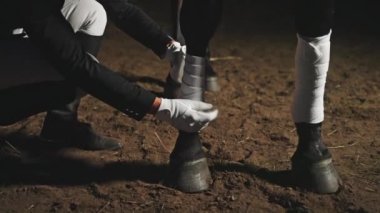 Gece yarısı ahırda yaralı bir atın sargı bezi.