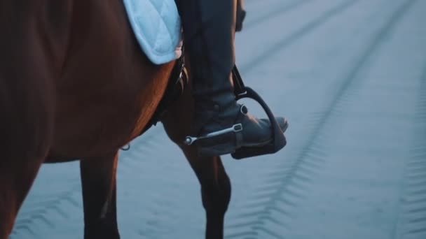 Самка скачет на темно-коричневой лошади в песчаном грунте во время подъема — стоковое видео
