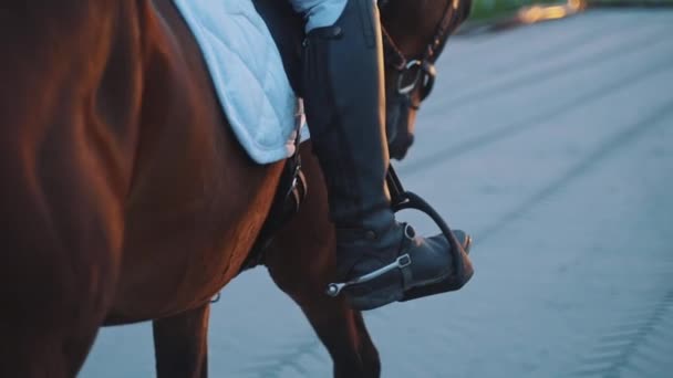 Jockey paardrijden op haar paard terug in de Sandy Ground dragen laarzen terug bekijken — Stockvideo