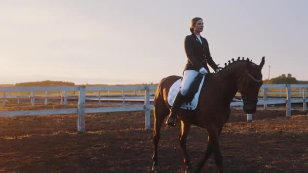 Mädchen Reiten auf dem Pferderücken in der Sandy Arena am Abend - Sonnenuntergang — Stockvideo