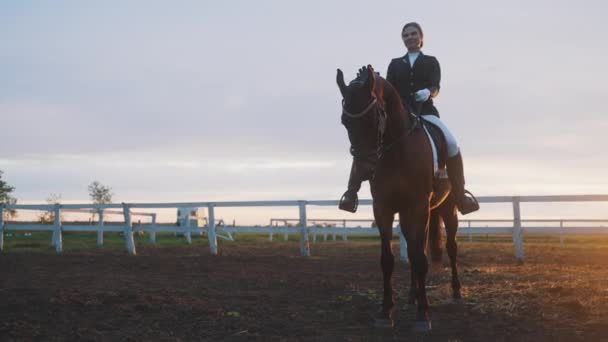 Giovane ragazza su una baia scura a cavallo in un ranch durante la sera chiaro cielo bianco — Video Stock