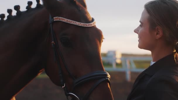 Ξανθιά γυναίκα με το σκούρο καφέ άλογο της να χαϊδεύει και να χαϊδεύει το άλογό της με αγάπη — Αρχείο Βίντεο