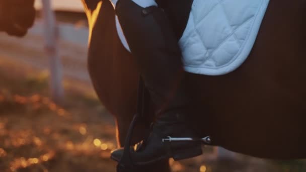 흰색 사들 - 선셋 과 함께 아름다운 브라운 호스 를 타고 있는 어린 조크 키 승마 — 비디오
