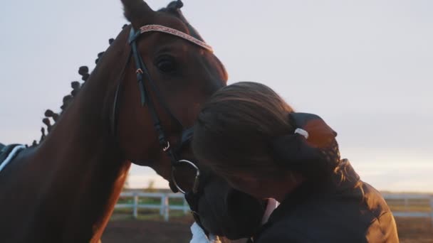 Cavalo proprietário beijando e acariciando seu cavalo mostrando afeição para Horse Golden Hour — Vídeo de Stock