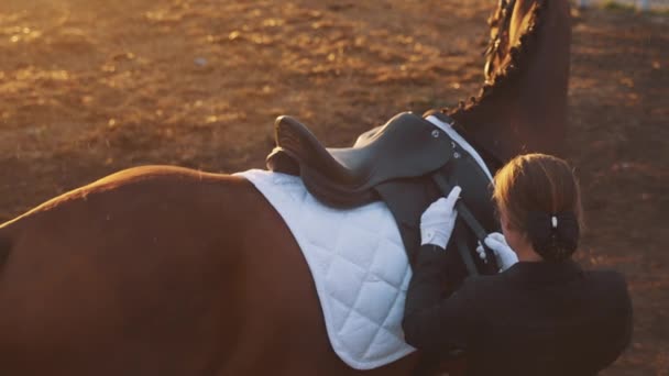 Caballo ensillando al caballo durante la lluvia - Competición de equitación — Vídeos de Stock