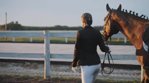 Ragazza che prende il suo cavallo per un giro nell'arena di sabbia lungo la recinzione di legno — Video Stock