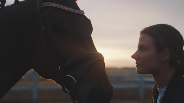 Horsewoman Kissing Her Seal Horse - Εκφράζοντας την αγάπη της για το άλογο - Ώρα Ηλιοβασίλεμα — Αρχείο Βίντεο