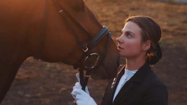 Cavaleira olhando para seu cavalo afetuosamente - Amor por cavalos - Hora de ouro — Vídeo de Stock