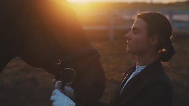 馬の女性は彼女のダークベイ馬のための彼女の愛を表現-馬のための愛-日没 — ストック動画