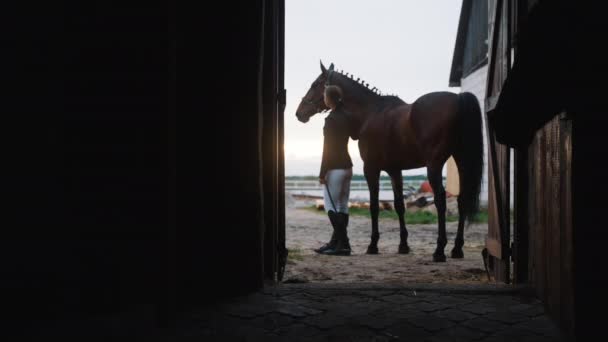 Silhueta do proprietário do cavalo e seu cavalo - Vista da porta do estábulo — Vídeo de Stock