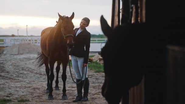 Proprietário do cavalo com seu cavalo marrom fora do estábulo no solo arenoso — Vídeo de Stock