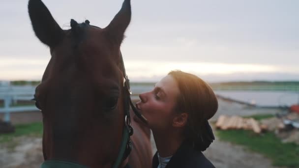 Ló tulajdonos vele pecsét Barna ló csók és Stroking a ló - naplemente — Stock videók