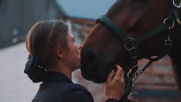 Dívka líbání její pečeť hnědý kůň hladí a vyjadřuje svou lásku ke koni — Stock video