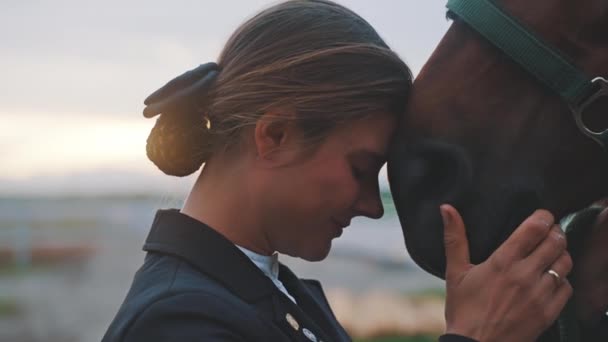 Lótulajdonos megérinti az arcát, hogy pecsét Brown Horse kifejező szeretet a lova — Stock videók