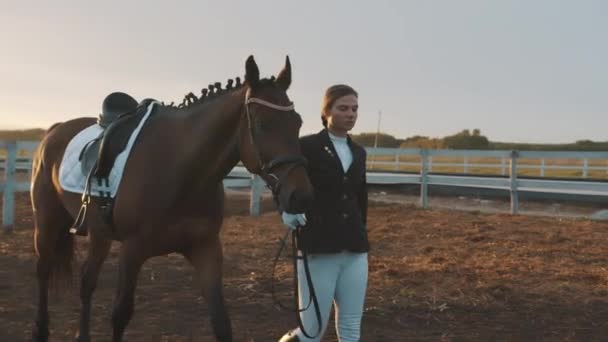 Pferdebesitzerin spaziert nach Wettbewerb mit Robbenpferd in der Sandy Arena — Stockvideo