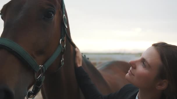 Paardenvrouw strijken haar donker bruin paard - uiten liefde voor haar paard — Stockvideo