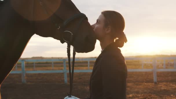Владелец лошади со своей темной лошадью - Выражение привязанности - Золотой час — стоковое видео