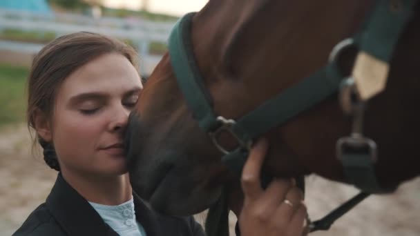 Cavaleiro tocando seu rosto para seu cavalo marrom selo - Amor para cavalos — Vídeo de Stock
