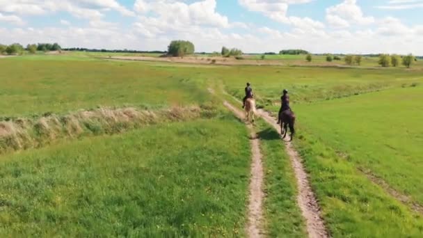 Dos jinetes en un marrón claro y un caballo de la bahía moviéndose a través del campo de la granja — Vídeos de Stock