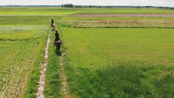 Dos jinetes en un marrón claro y un caballo de la bahía moviéndose a través del campo de la granja — Vídeos de Stock
