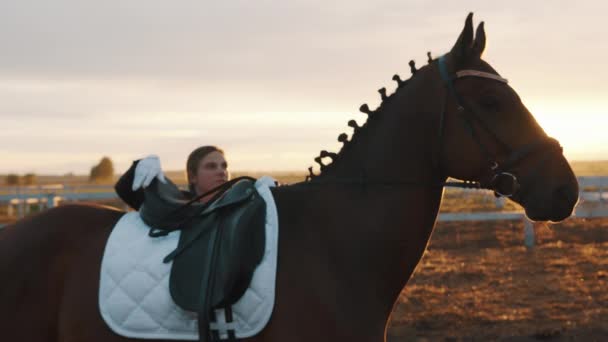 Hästkvinnan klättrar på hästryggen med hjälp av sin Lead Rope - Golden Hour — Stockvideo