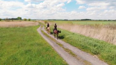 Bir körfez atına binenler ve çayırlarda ilerleyen açık kahverengi bir at.