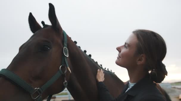 Paardenvrouw strijken een donker bruin paard glimlachen en uiten liefde voor haar paard — Stockvideo