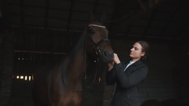 Właściciel konia Fixing Bridle z jej ciemnobrązowy koń w stajni - jazda konna — Wideo stockowe