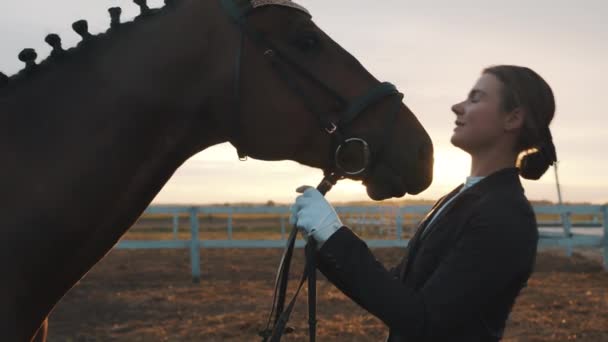 ダークベイの馬のキスと表現愛を持つ女性馬の所有者-サンセット — ストック動画