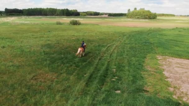 Jinetes de caballos en un marrón claro y un caballo de la bahía corriendo a través de los prados de campo de la granja — Vídeos de Stock