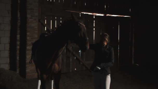 Cavallo proprietario con un equitazione bastone in il suo mano formazione il suo cavallo per salto — Video Stock