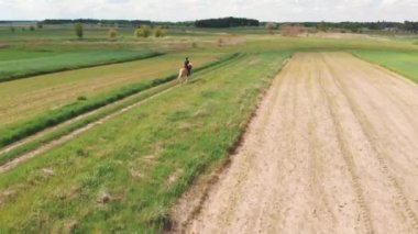 Sarışın kuyruklu açık kahverengi bir atın üstünde dört nala koşan çayırlar.