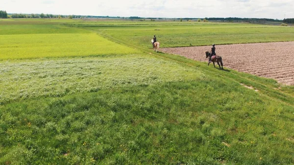 Két lovas egy világosbarna és egy Bay Horse mozog a mezőn. — Stock Fotó