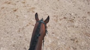 Siyah yelesi güzel bir örgü ile örülmüş koyu bir at kafası.