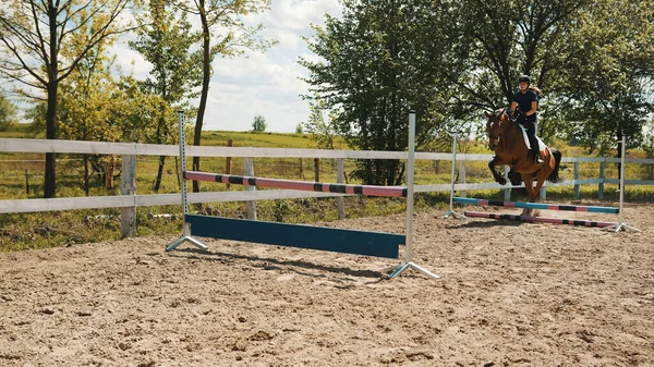 Jockey femenino sobre un caballo de bahía oscura saltando los obstáculos en el parque arenoso —  Fotos de Stock