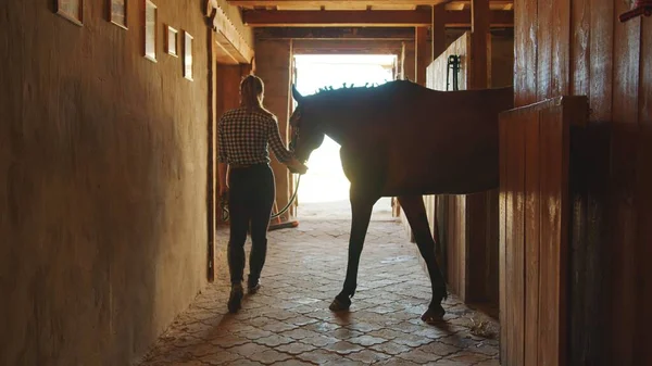 馬の安定した屋台から馬を取る女性ジョッキー — ストック写真