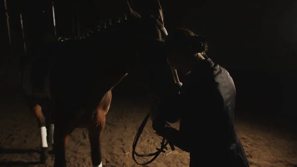 Kůň Majitel Vyjádření Její Lásku Pro Její Dark Bay Horse - Láska Pro Koně — Stock fotografie