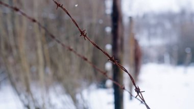 Auschwitz 'te Dikenli Kabloyla Elektrik Çiti Soykırım Toplama Kampı