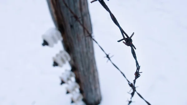 Електрична огорожа з колючими дротами В Освенцімі колишній німецький концентраційний табір — стокове фото