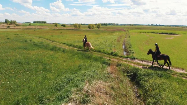 Két lovas a lápvidéken, és egy fóka a mezőn át mozgó barna ló. — Stock Fotó