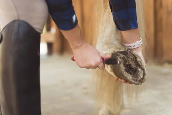 Właściciel konia czyści końską kopyto używając szpikulca do kopyt dbając o higienę konia — Zdjęcie stockowe