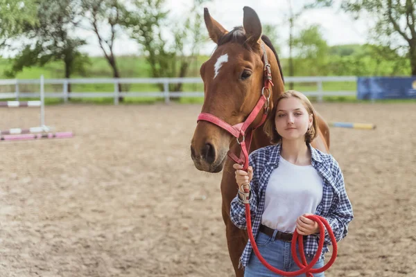 Young Girl With A Bay Horse Standing In The Stable Girl Holding Horse Lead Rope — Stock Photo, Image